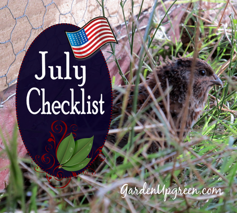 July Gardening Checklist