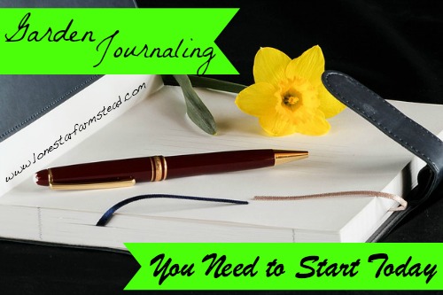 Garden Journaling: You Need to Start Today