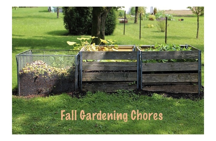 Fall Gardening Chores