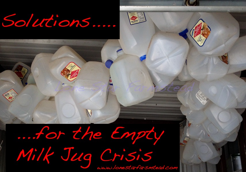 http://www.lonestarfarmstead.com/wp-content/uploads/2014/10/Solutions-for-the-Milk-Jug-Crisis.jpg