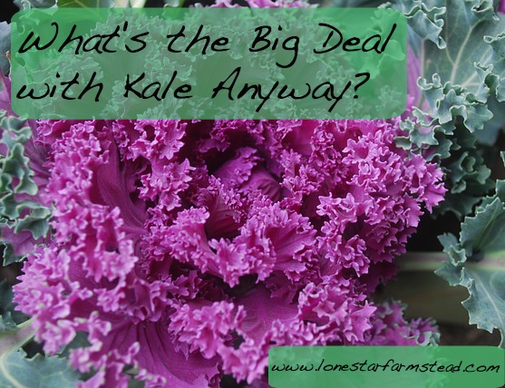What’s the Big Deal With Kale Anyway?