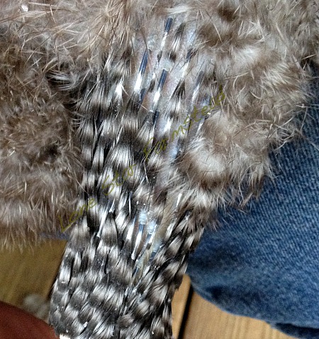 Pin Feather on Chickens Leg