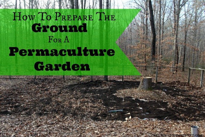 Permaculture Practices and From the Farm Blog Hop