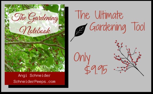 Get the ultimate gardening too, The Gardening Notebook, for only $9.95. SchneiderPeeps.com