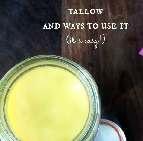 Rendering Beef Tallow and From the Farm Blog Hop