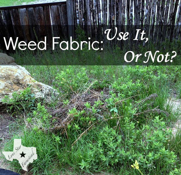 Weed Fabric: Use It or Not?