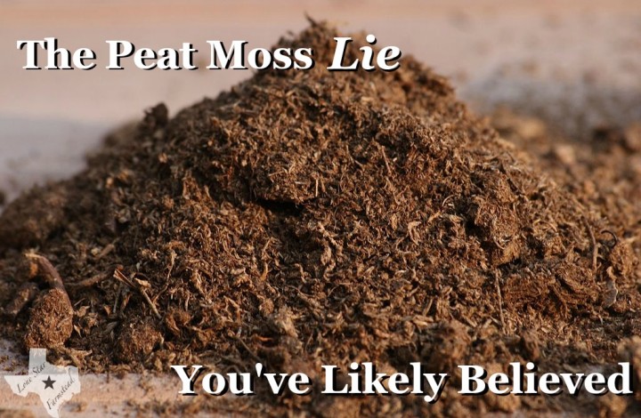 The Peat Moss Lie You’ve Likely Believed